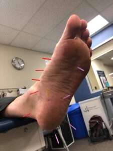 52392490_10161371986640058_4285437459354877952_n